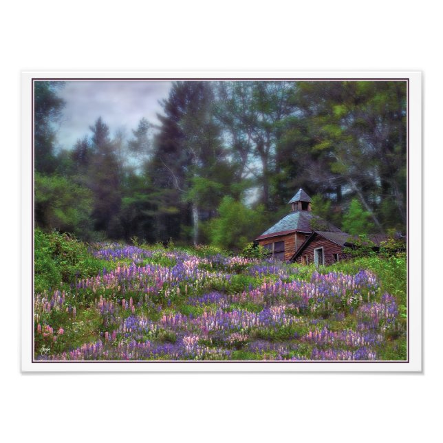 Cabin in the Lupine Digitally Initialed Open Ed Pr Photo Print (Front)