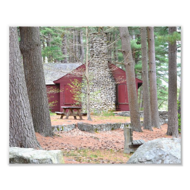 Cabin In The Woods Photo Print (Front)