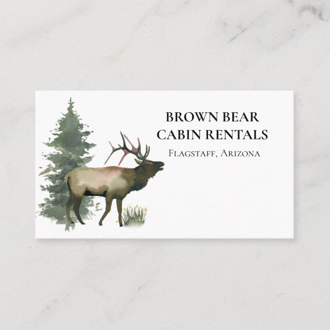 Cabin Mountain Home Vacation Rental Business Cards (Front)