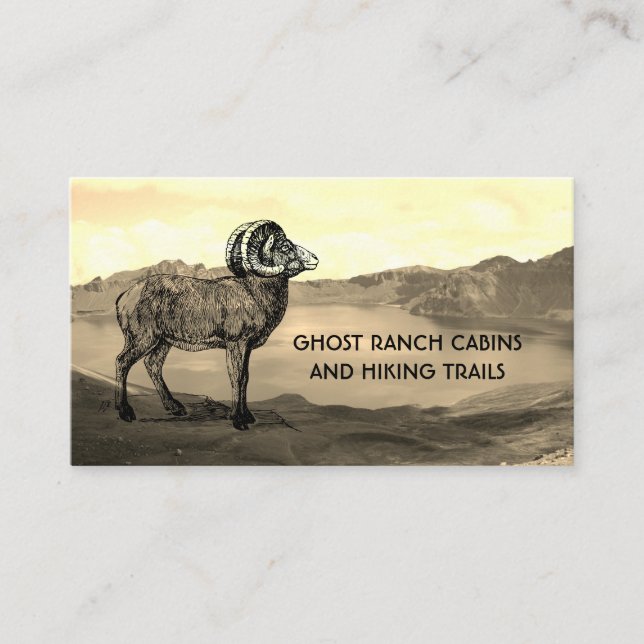 Cabin or Bed And Breakfast Rentals Business Cards (Front)