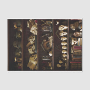 Cabinet of Curiosities Skulls Tissue Paper