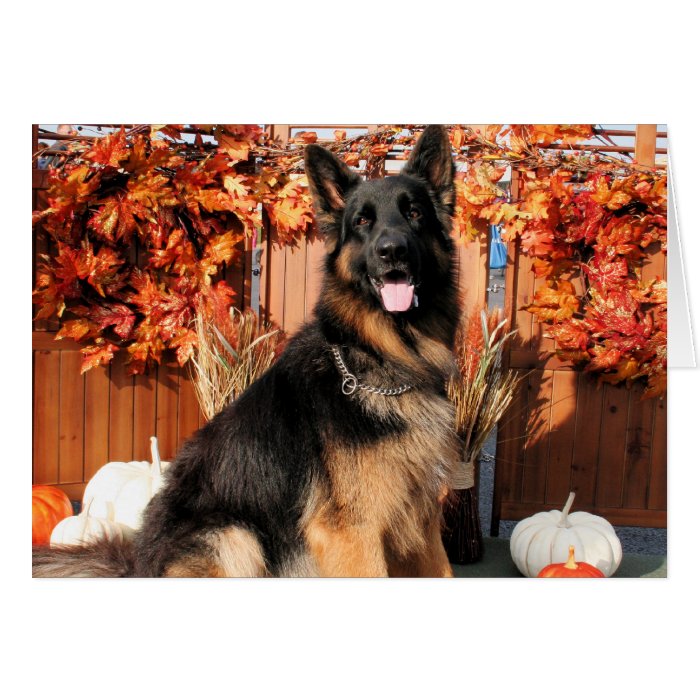 Cabo   German Shepherd Photo#1 Greeting Cards