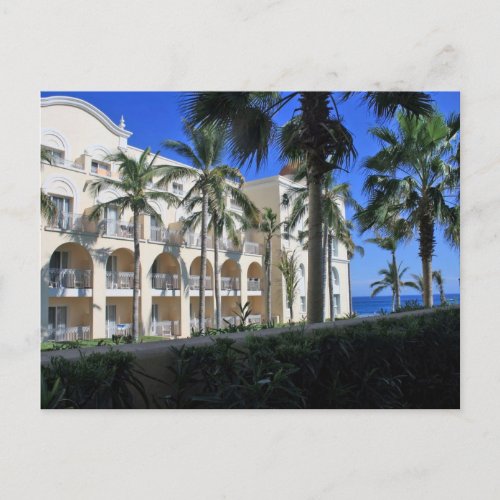 Cabo San Lucas Mexico Palm Trees Blue Sky Postcard