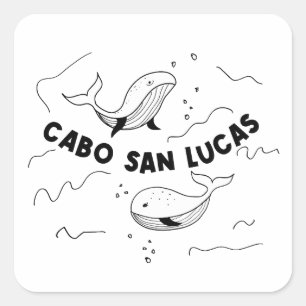 Cabo San Lucas Mexico Whales Square Sticker
