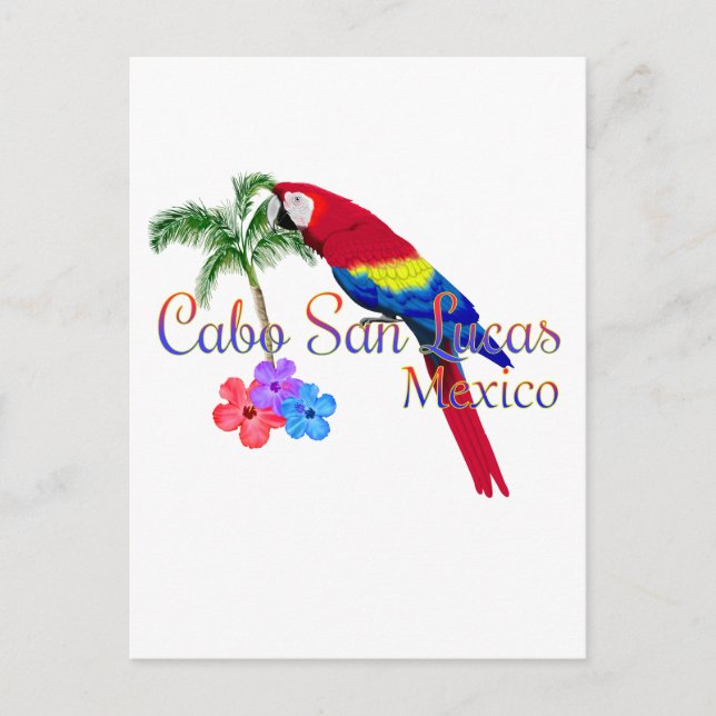 Cabo San Lucas Tropical Beach Postcard (Front)