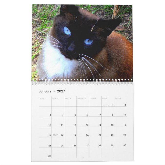 'Caboodle Ranch' Calendar (Jan 2027)