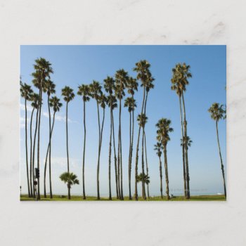 Cabrillo Avenue  Santa Barbara  California Postcard by prophoto at Zazzle