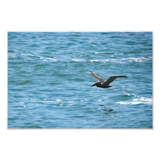 Cabrillo National Monument Photo Print