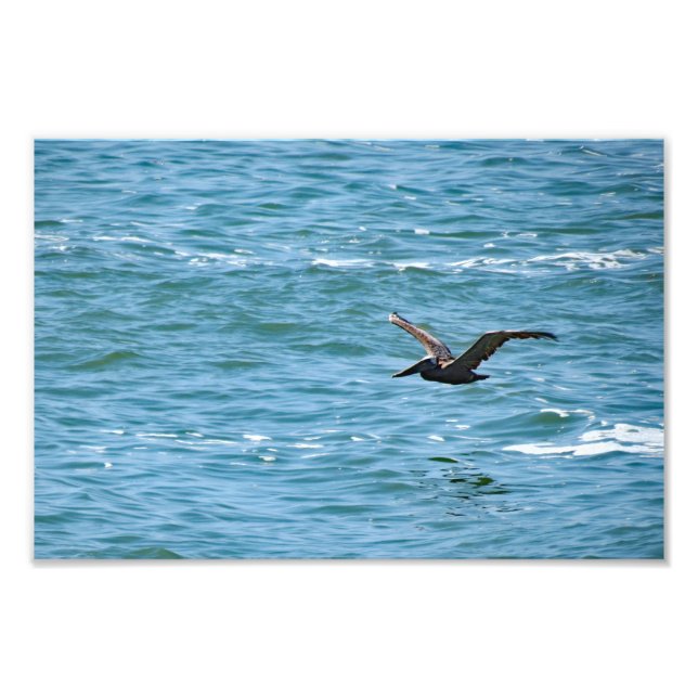 Cabrillo National Monument  Photo Print (Front)