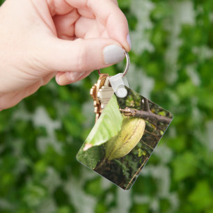 cacao pod keychain