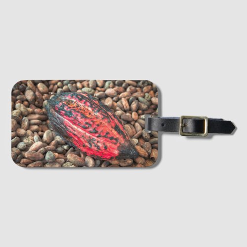 Cacao pod  luggage tag