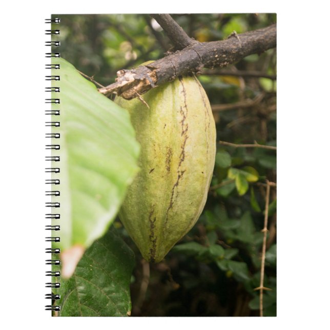 cacao pod notebook (Front)
