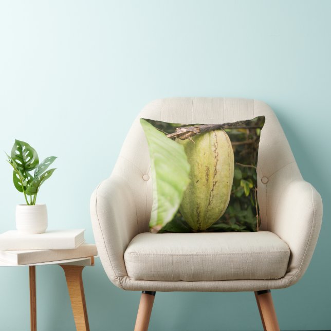 cacao pod throw pillow (Chair)