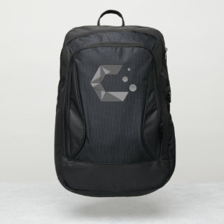 Cachy Silver backpack