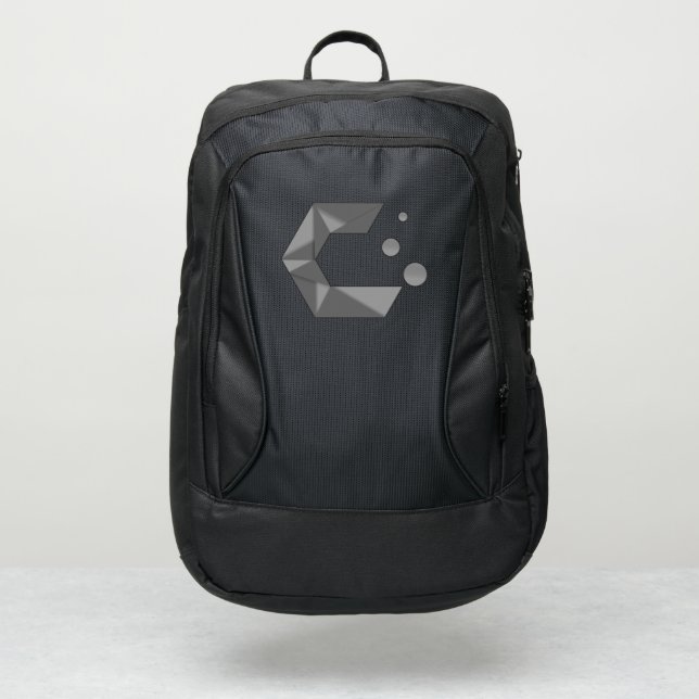 Cachy Silver backpack (Front)