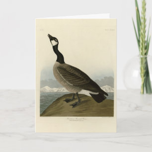 Cackling Goose from Audubon's Birds of America  Card