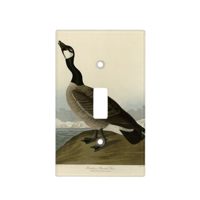 Cackling Goose from Audubon's Birds of America  Light Switch Cover (Front)