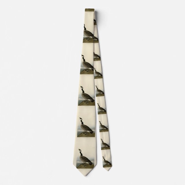 Cackling Goose from Audubon's Birds of America  Neck Tie (Front)