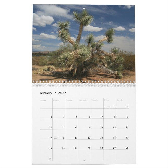Cacti 2013 calendar (Jan 2027)