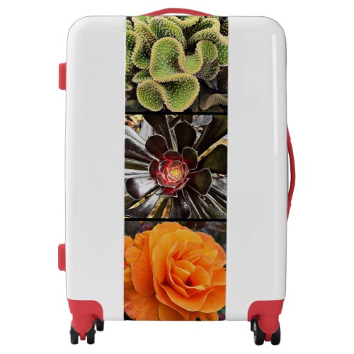 Cacti and rose flower photo collage modern bold luggage