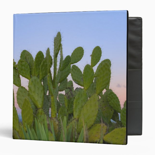 Cacti and sisal in Dry Forest Binder (Front/Inside)