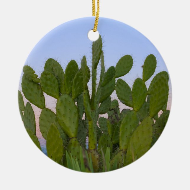 Cacti and sisal in Dry Forest Ceramic Ornament (Front)