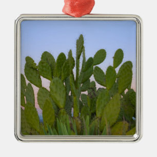 Cacti and sisal in Dry Forest Metal Ornament