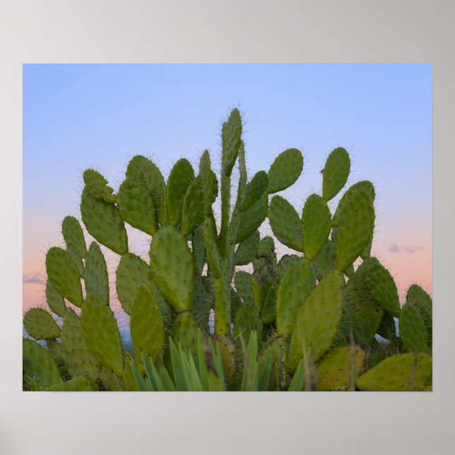 Cacti and sisal in Dry Forest Poster (Front)