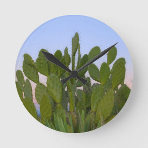 Cacti and sisal in Dry Forest Round Clock