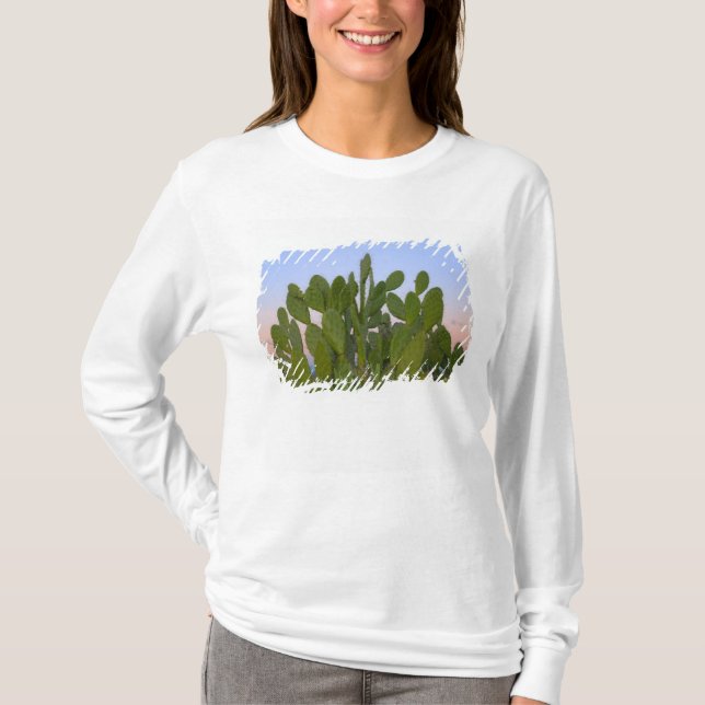 Cacti and sisal in Dry Forest T-Shirt (Front)