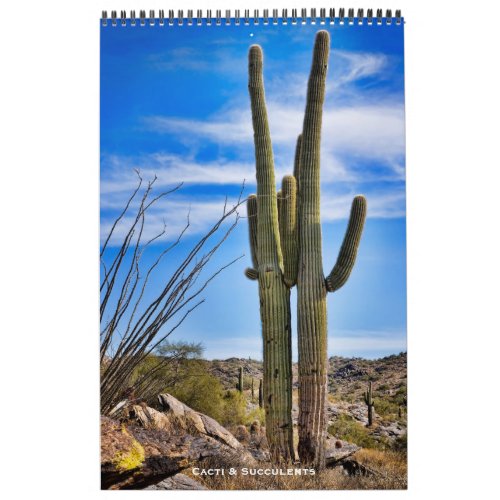 Cacti and Succulents Calendar
