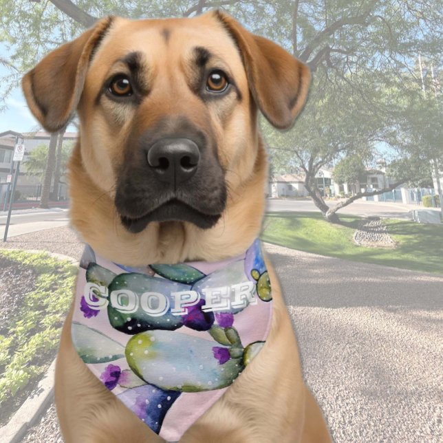 CACTI AQUARELLE PET BANDANA COLLAR (Creator Uploaded)