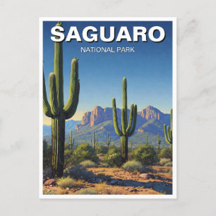 Cacti at Saguaro National Park Souvenir Postcard