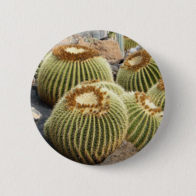 Cacti button (Front)