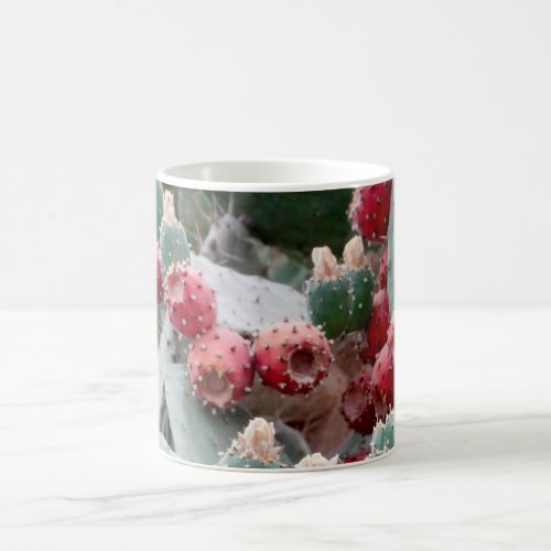 Cacti Fruit Photo  325 ml  Classic Mug