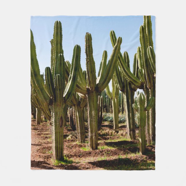 Cacti garden. Green tall cacti and succulents grow Fleece Blanket (Front)