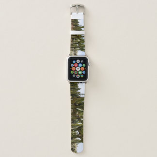 Cacti garden, tropical desert landscape. apple watch band