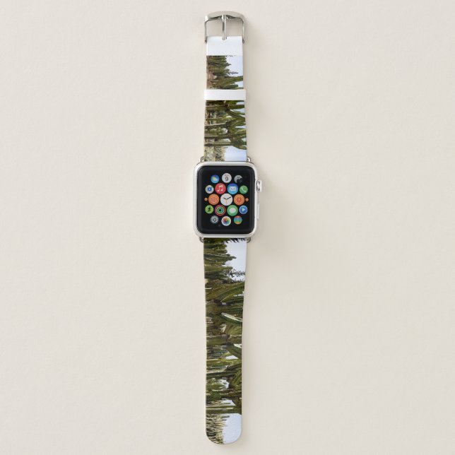 Cacti garden, tropical desert landscape. apple watch band (Front)