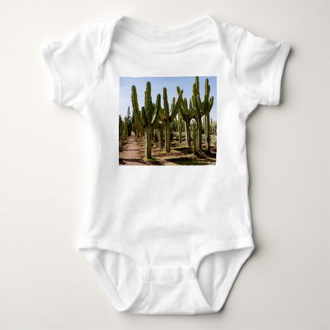 Cacti garden, tropical desert landscape. baby bodysuit (Front)