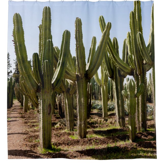 Cacti garden, tropical desert landscape. shower curtain (Front)