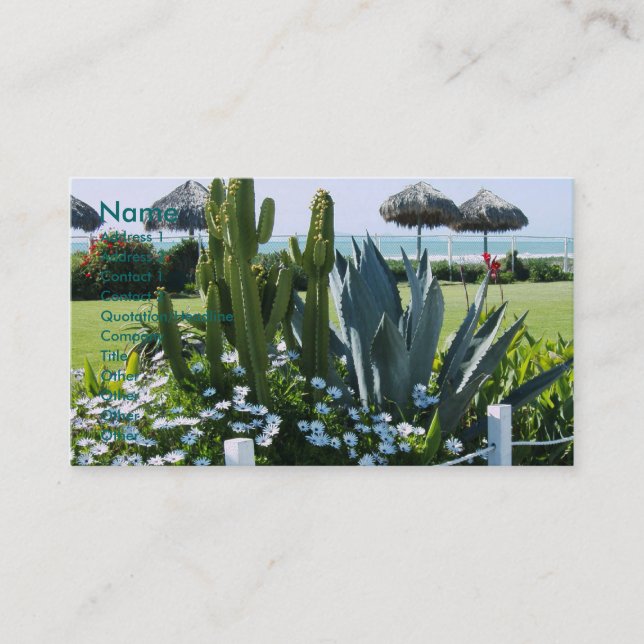 Cacti in Mexico Business Card (Front)
