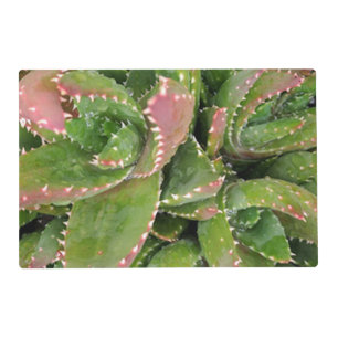 Cacti Laminated Placemat