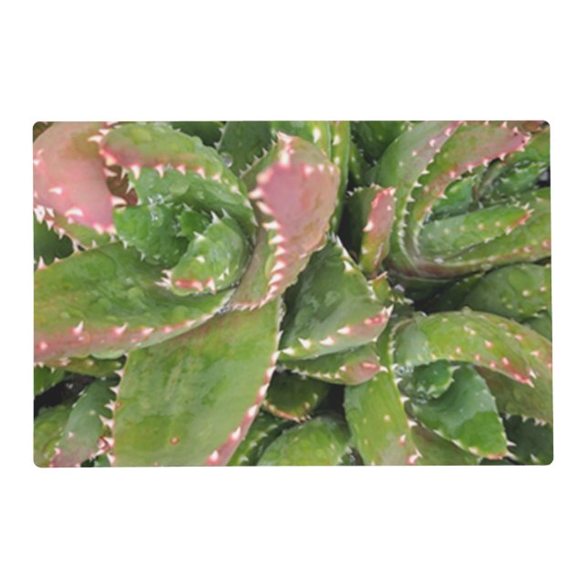 Cacti Laminated Placemat (Front)