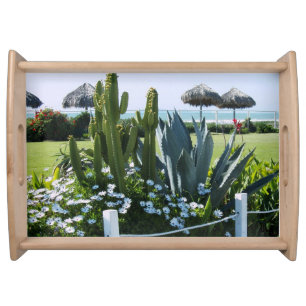 Cacti on Rosarito Beach Mexico Serving Tray