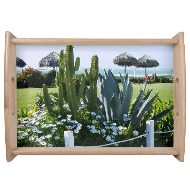 Cacti on Rosarito Beach Mexico Serving Tray (Front)