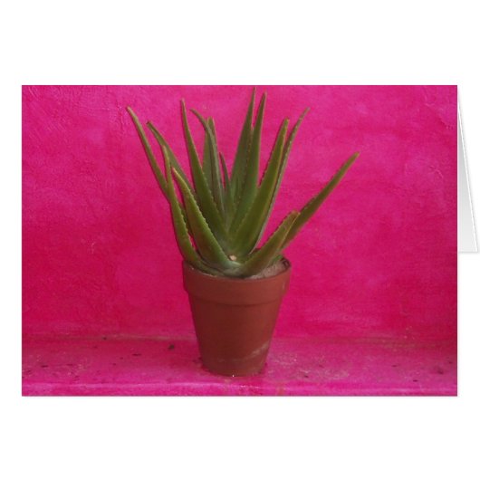 Cactus (Front Horizontal)