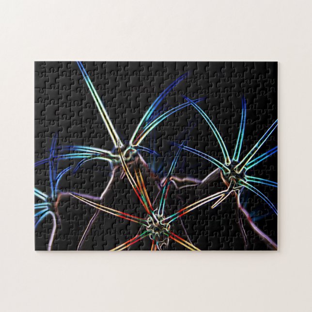 Cactus 1 11x14 252pc jpa jigsaw puzzle (Horizontal)