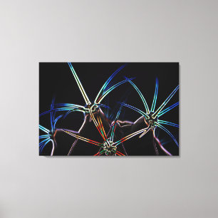 Cactus 1 36x24 (90x60cm) waccna canvas print