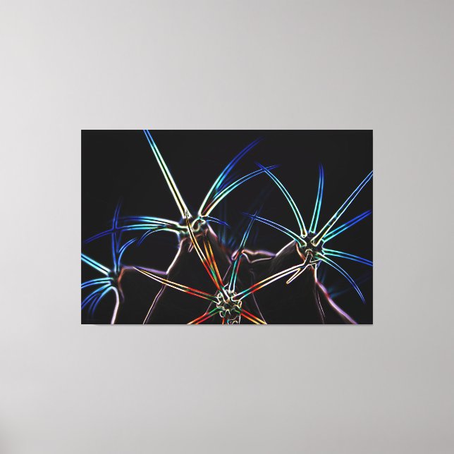 Cactus 1 60x40 (150x100cm) wacm canvas print (Front)