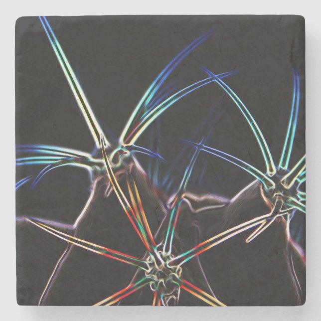 Cactus 1 coastercna stone coaster (Front)